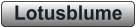 Lotusblume