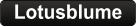 Lotusblume